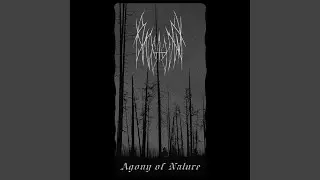 The Last Breath of the Dying Forest II