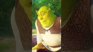 Shrek rizz 😮&zwj;💨 #rizz #shrek