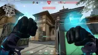 ACE NA HAVEN