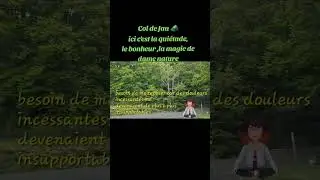 Col de Jau , Superbe écrin de verdure, ici c'est la quiétude, le bonheur ,la magie de dame nature