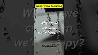 An Interesting fact about Tears you don't know! #emotionalfact #emotional #facts #shorts