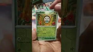 What!!!! Are you kidding!!! #packbattle #pokemon #pokemonpackbattle