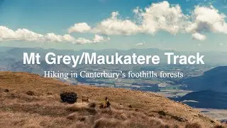 Mt Grey/Maukatere Track