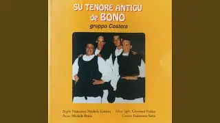 Angioj de sos poveros s'insinnia