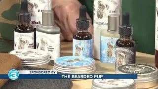 Bearded Pup