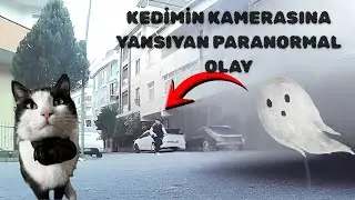 Kedimin Kamerasına Yansıyan PARANORMAL OLAY. Yalnız İzlemeyin !!