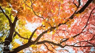 Chill Instrumental Music Soothes The Soul - Autumn Scenery 4K
