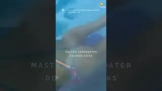 MIND-BLOWING Dolphin Kick Secrets Revealed