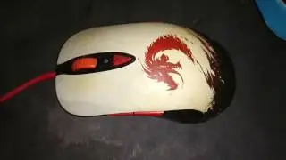 steel series guildwars 2 mouse problem