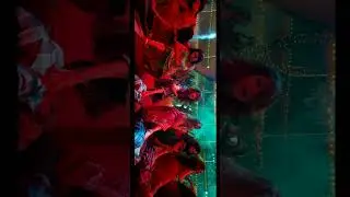 Pushpa 😍 Item song status || 4k Full screen status