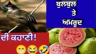 ਬੁਲਬੁਲ ਤੇ ਅਮਰੂਦ ਦੀ ਰੋਮਾਂਚਕ ਕਹਾਣੀ ਹੁਣੇ ਦੇਖੋ।