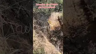 #travesias en el #monte del #volcan #popocatepetl #peace #Holidays #newyear #subscribe