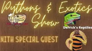 Python's & Exotics w/Special Guest Derrick's Reptiles #BPL #JosuesExotics