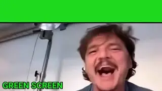 Pedro Pascal - Crying meme | Green Screen