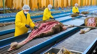 Inside the Ostrich-Leather Factory: From Egg to Premium Luxury Handbag (Full Process)