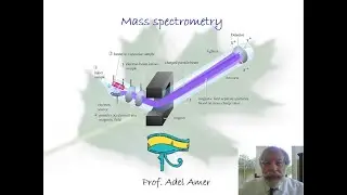 Lecture 7 MS Part I Spectroscopy Online Training Course