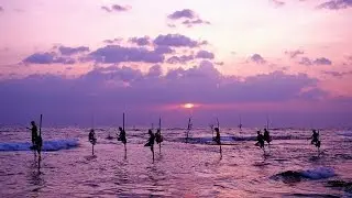 Sri Lanka Holidays | Indian Ocean Holidays | Kuoni