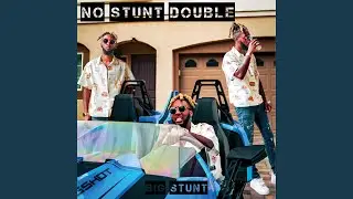 No Stunt Double
