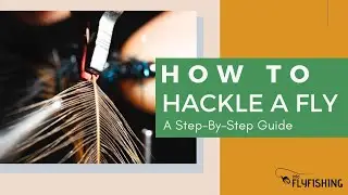How To Hackle a Fly (Basic Fly Tying Technique)