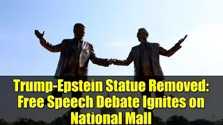 Trump-Epstein Statue Removed: Free Speech Debate Ignites on National Mall