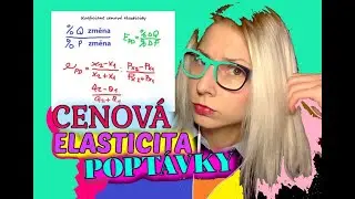 Cenov&aacute; elasticita popt&aacute;vky | Jednotkov&aacute;, Neelastick&aacute; a Elastick&aacute; Popt&aacute;vka