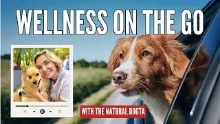 Pet Wellbeing Made Easy: Holistic Health & First Aid Essentials