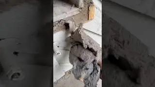 Commercial Dryer Duct Cleaning- 30 years of Lint 🔥🤩 #asmr