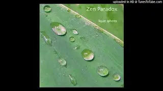 ZEN PARADOX - Shon Spagnolia