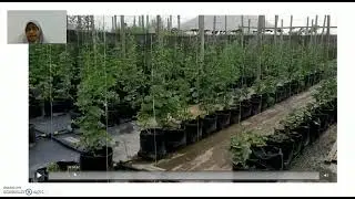 zktech farm - tanaman rockmelon