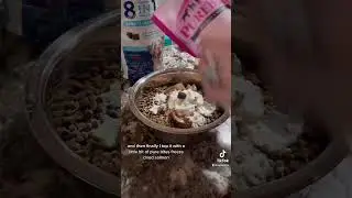 What we feed nursing mama dog (she&rsquo;s also underweight from starving for so long)