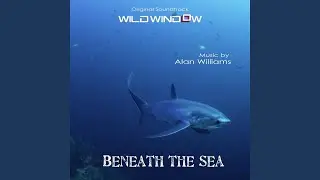 Sea Turtle and Dancing Fish