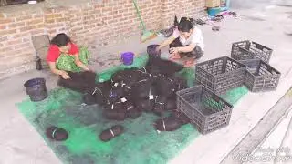 Non Remy Hair Processing