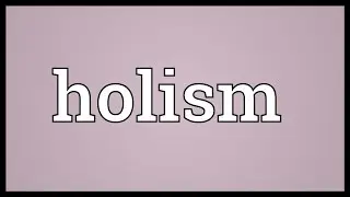 Holism Meaning