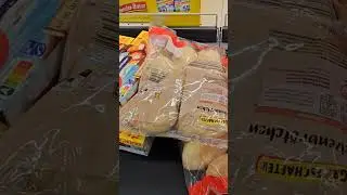 🇩🇪 Grocery shopping at Lidl with prices Weekly Food Budgets for a family in Germany