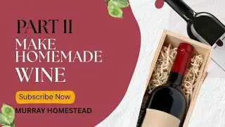PART II OF WINE MAKING