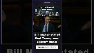 Bill Maher Defends Trump's Sharp Response to 'Stupid Question' on Plane Crash.
