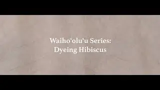 Waihoʻoluʻu Series: Episode 2- Dyeing Hibiscus