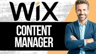 Учебное пособие по Wix Content Manager 2025