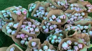 Monthly Toronto Flower Market - 2022