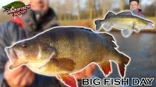 Was wir fangen ist BRUTAL! Riesige Barsche im Herbst & Winter / Aktiv Raubfischangeln mit Gummifisch
