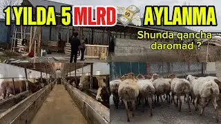 YILLIK 5 MLRD SO&rsquo;M AYLANMASI BOR KATTA FIRMADA BO&rsquo;LDIK