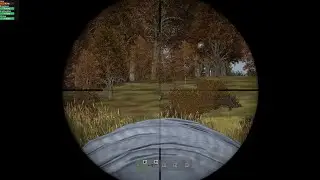 ZEROING is POINTLESS - DayZ #shorts