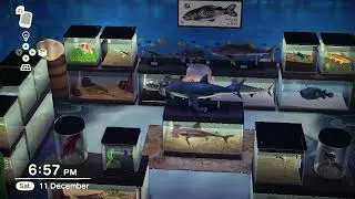 Animal Crossing - New Horizons: My Aquarium