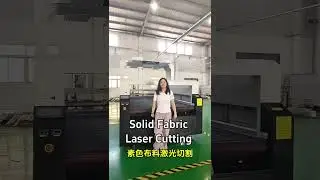 Why Your Factory Needs a Fabric Laser Cutting Machine | Textile Laser Cutting System