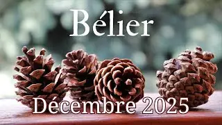 ♈B&Eacute;LIER D&Eacute;CEMBRE 2025🎄 PRO FINANCIER AFFECTIF