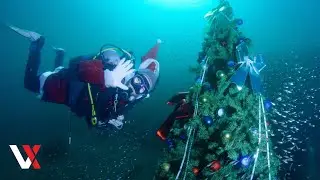 Croatian Divers Mark Christmas With Underwater Tree In Lake Jarun | VERTEX