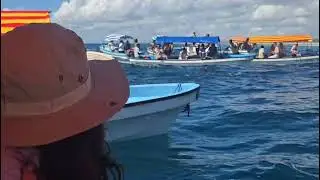 Zanzibar, Africa. Swimming with dolphins.