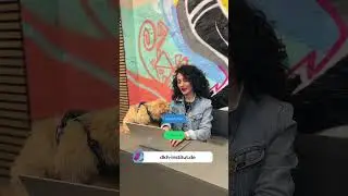Deutsch lernen / aufklappen / DKH Institut