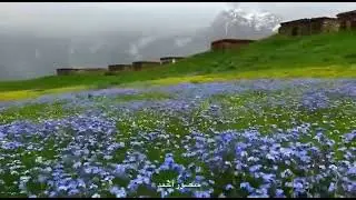 Chukail Banda Mankiyal kalam swat valley