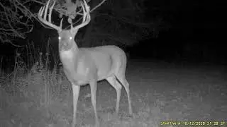 Isaiah Boone and Crocket buck 2